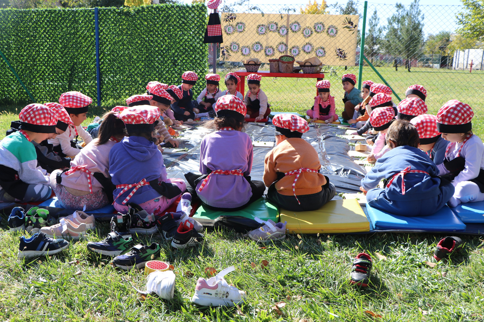 Zarokistana perperike de Zeytin Kırma Etkinliği Düzenlendi
