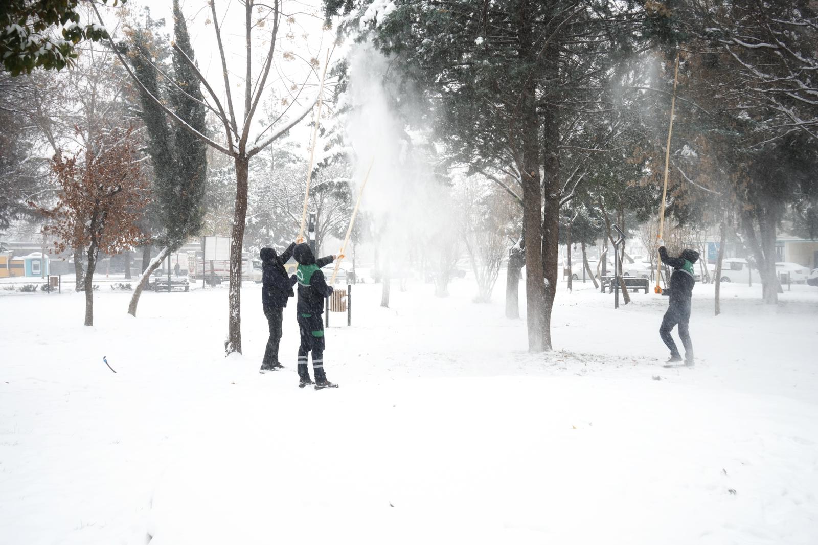 Kayapınar Belediyesi binlerce ağacı kurtardı 