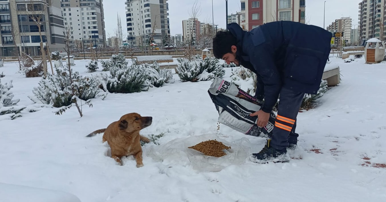 Belediye 543 noktaya 1400 kilogram mama ve kuş yemi bırakıldı