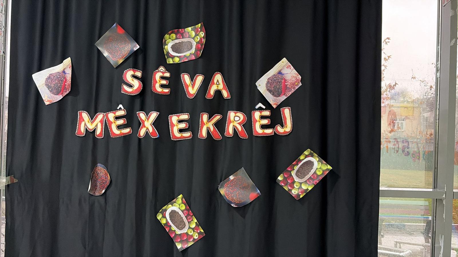 Zarokistan’larda Sêva Mêxekrêj Etkinliği